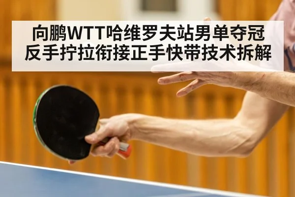 向鹏WTT哈维罗夫站男单夺冠 反手拧拉衔接正手快带技术拆解