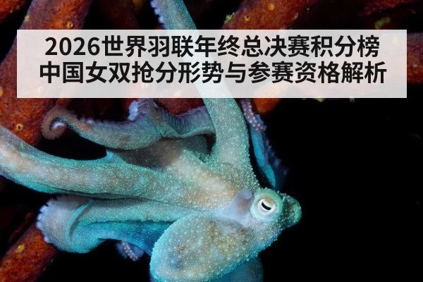 2026世界羽联年终总决赛积分榜 中国女双抢分形势与参赛资格解析